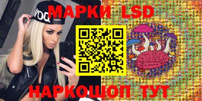 СК Бугуруслан
