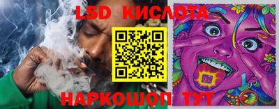 СК Бугуруслан